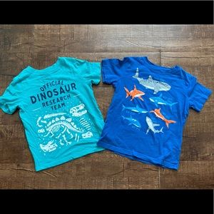 Boys Set of 2 Shirts